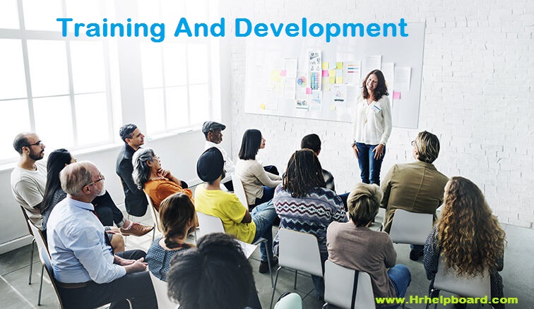 Training & Capacity Building